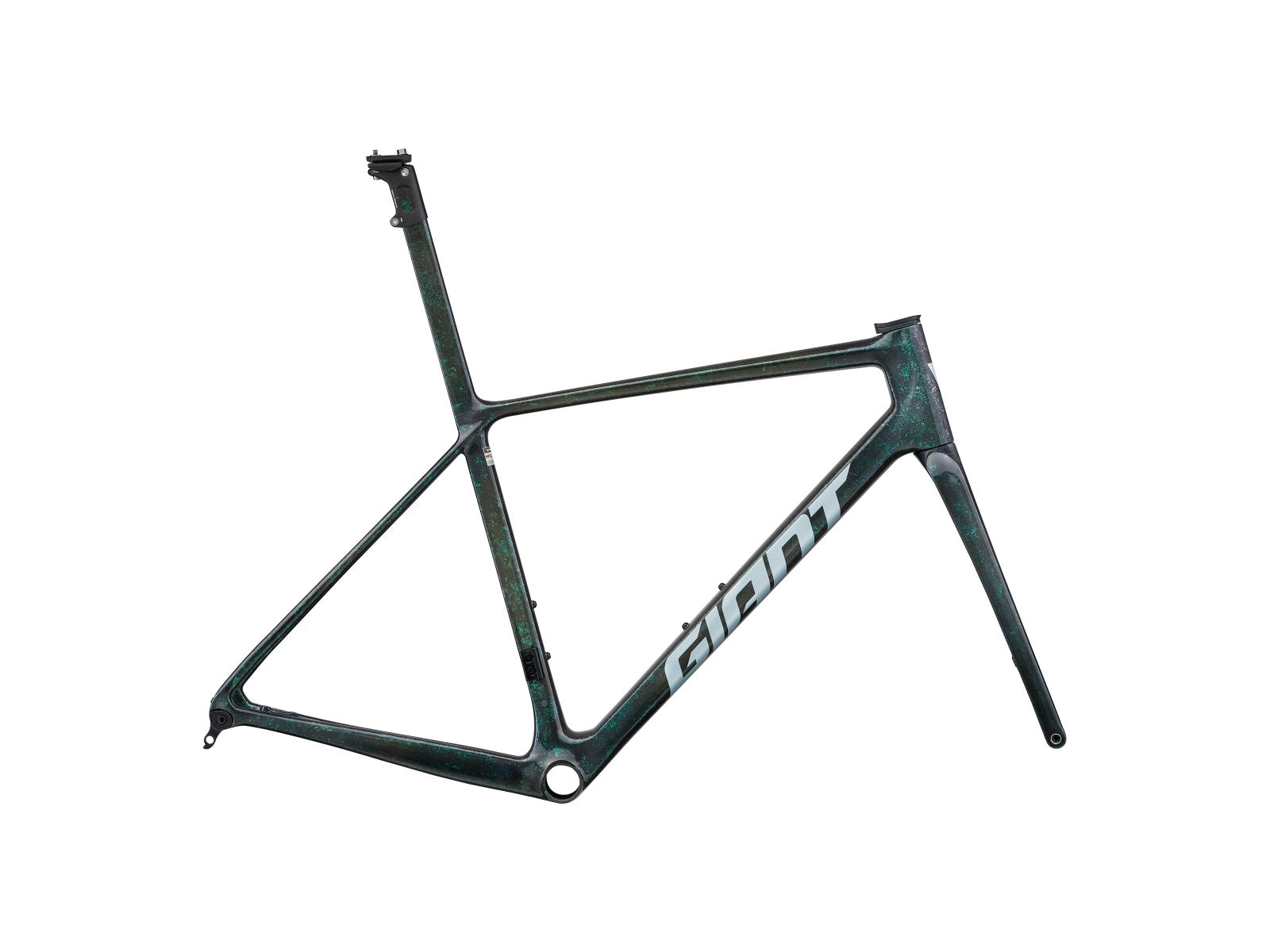 TCR Advanced SL Frameset (2025)