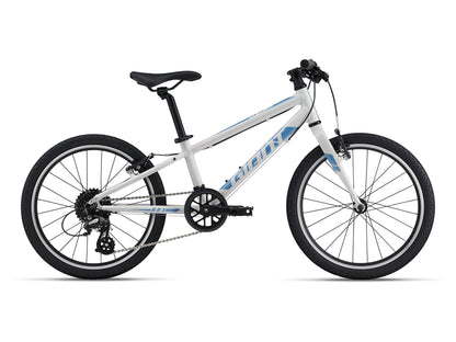 ARX 20 (22)