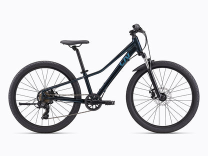 Tempt 24 Disc 2024