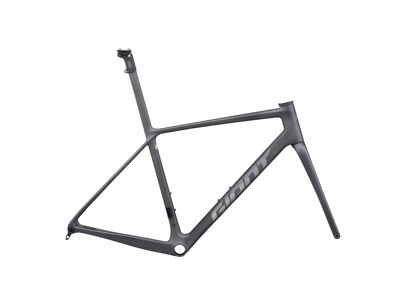 TCR Advanced SL Frameset (2025)