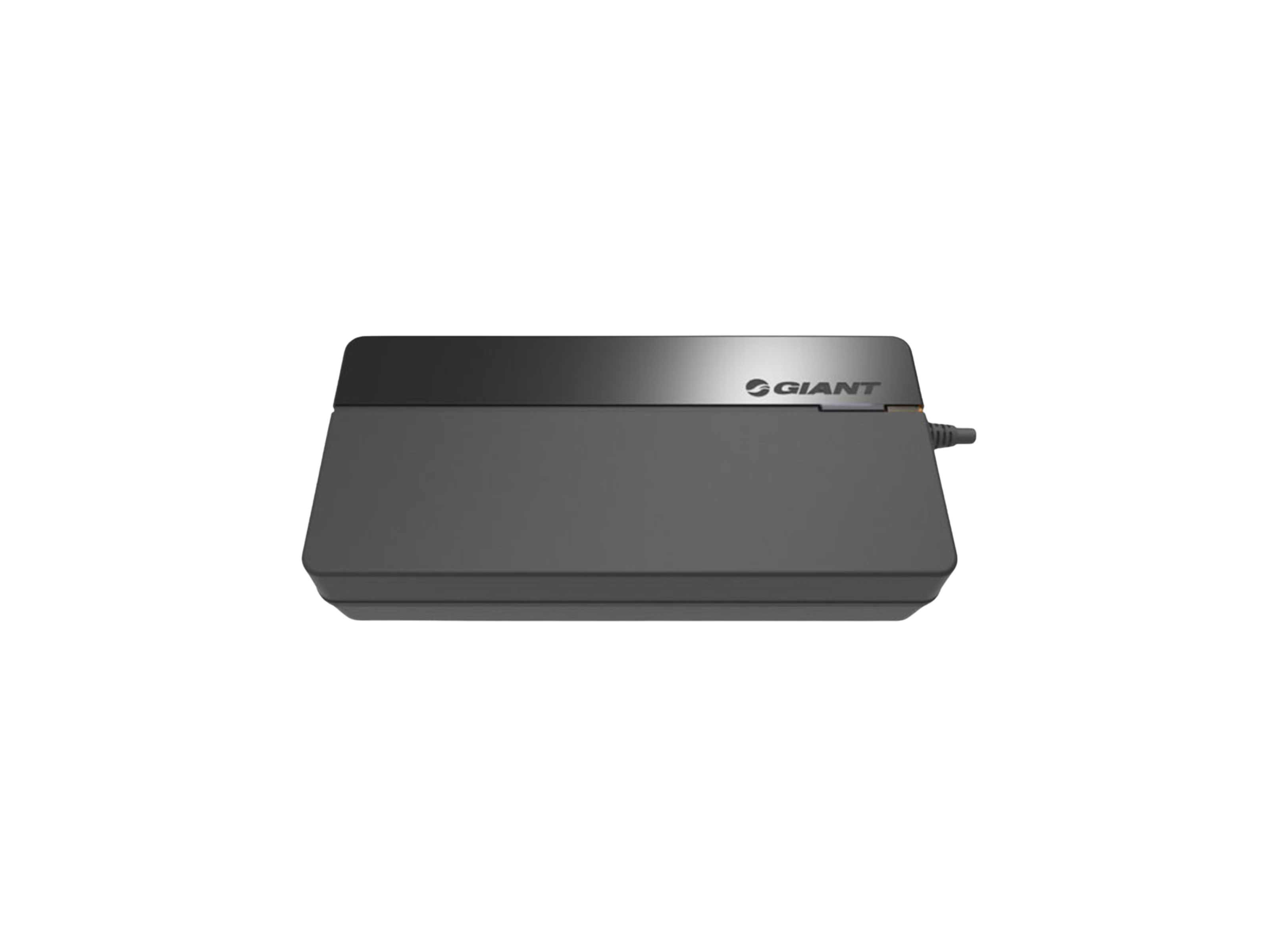 Giant EnergyPak Smart Charger MY21