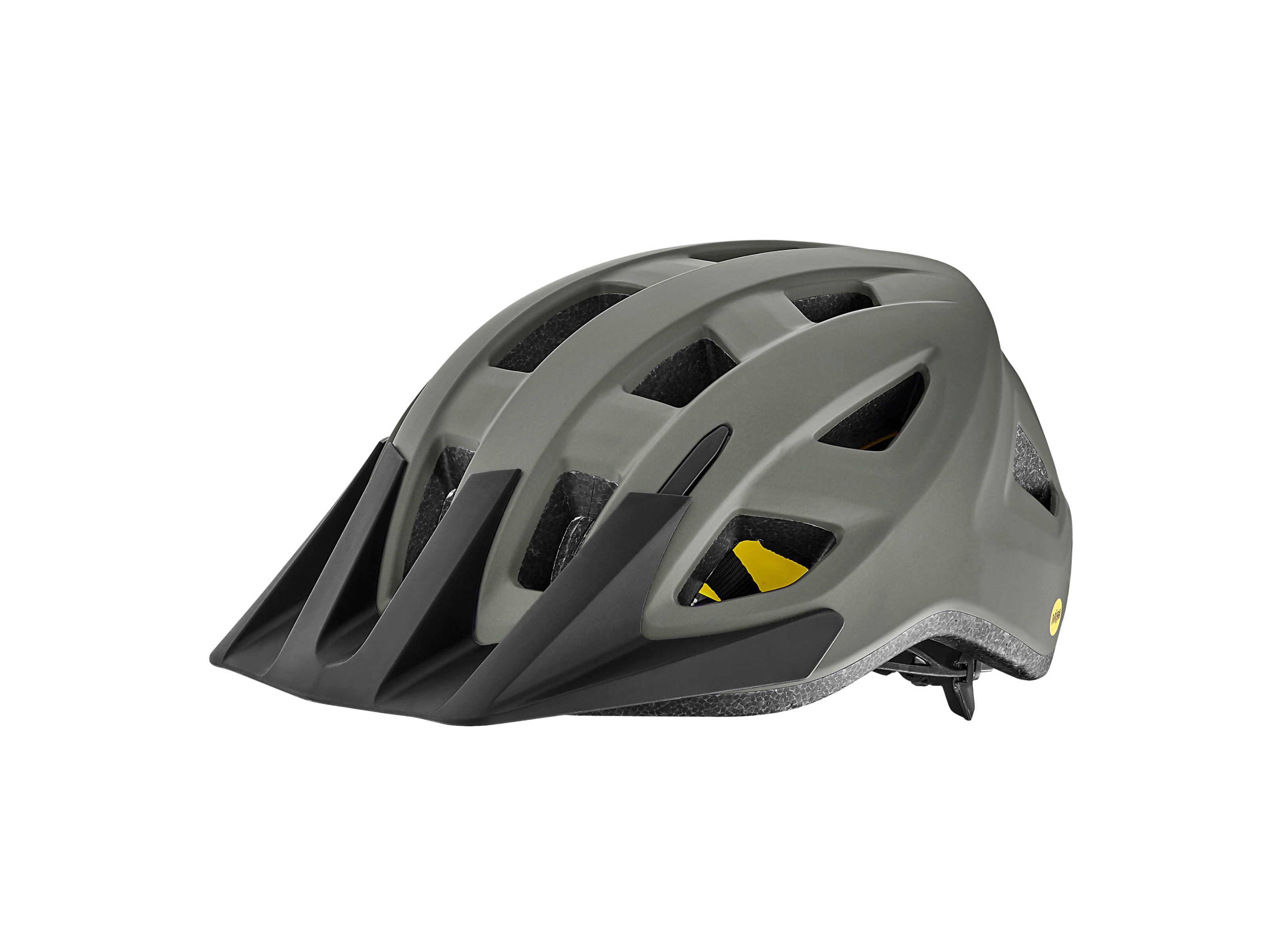Giant Path MIPS Helmet