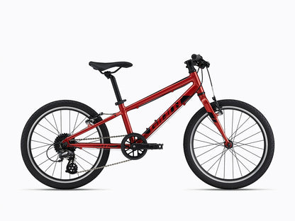 ARX 20 (22)