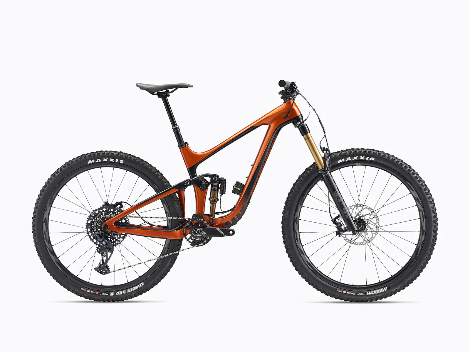 Reign Advanced Pro 29 1