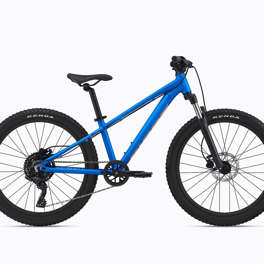 Giant stp 2 mountain bike online